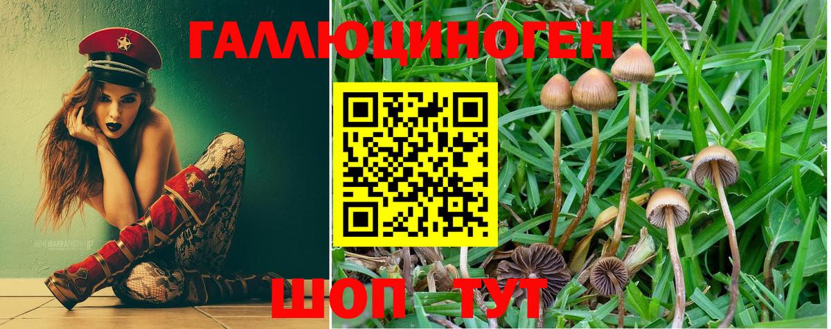 Нижневартовск  где купить наркотик  Вход с VPN  Псилоцибиновые грибы MAGIC MUSHROOMS 